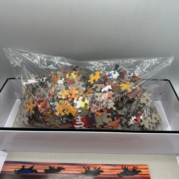 Iditarod Trail Alaska Anchorage Nome Over 1000 Piece Puzzle Panoramic 14x39 - Picture 7 of 8